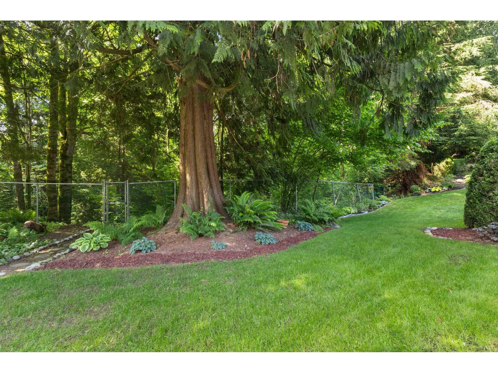 11 33020 Maclure Road, Abbotsford, British Columbia  V2S 7J6 - Photo 34 - R3126815