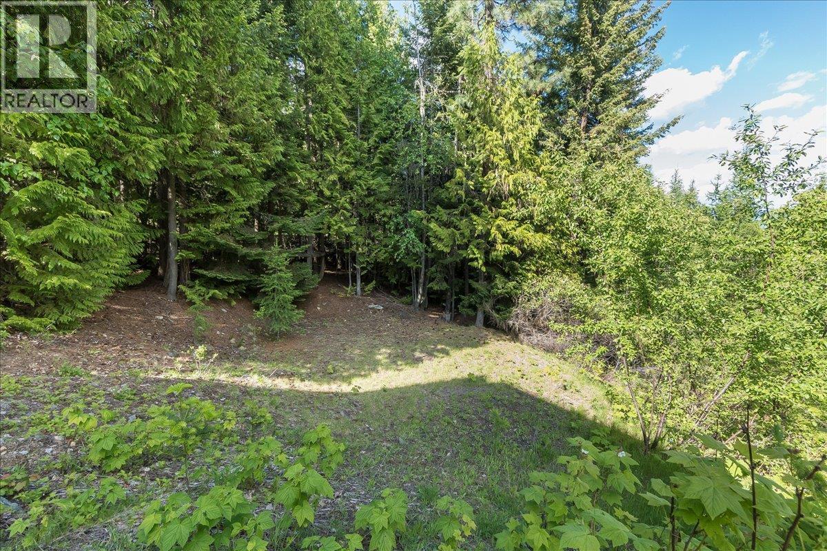 3630 Mountain View Road, Bonnington, British Columbia  V0G 2G3 - Photo 80 - 10388536