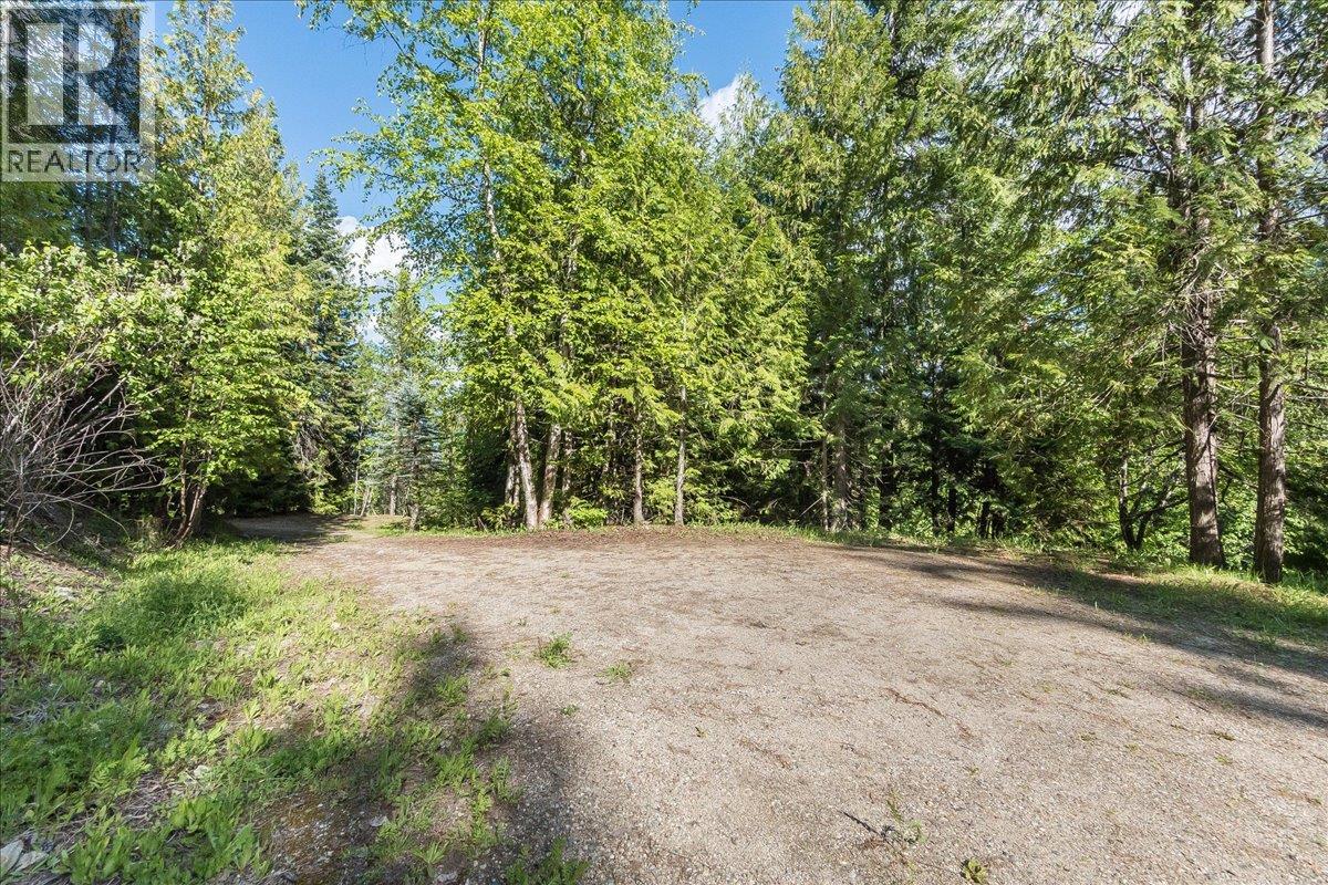 3630 Mountain View Road, Bonnington, British Columbia  V0G 2G3 - Photo 81 - 10388536