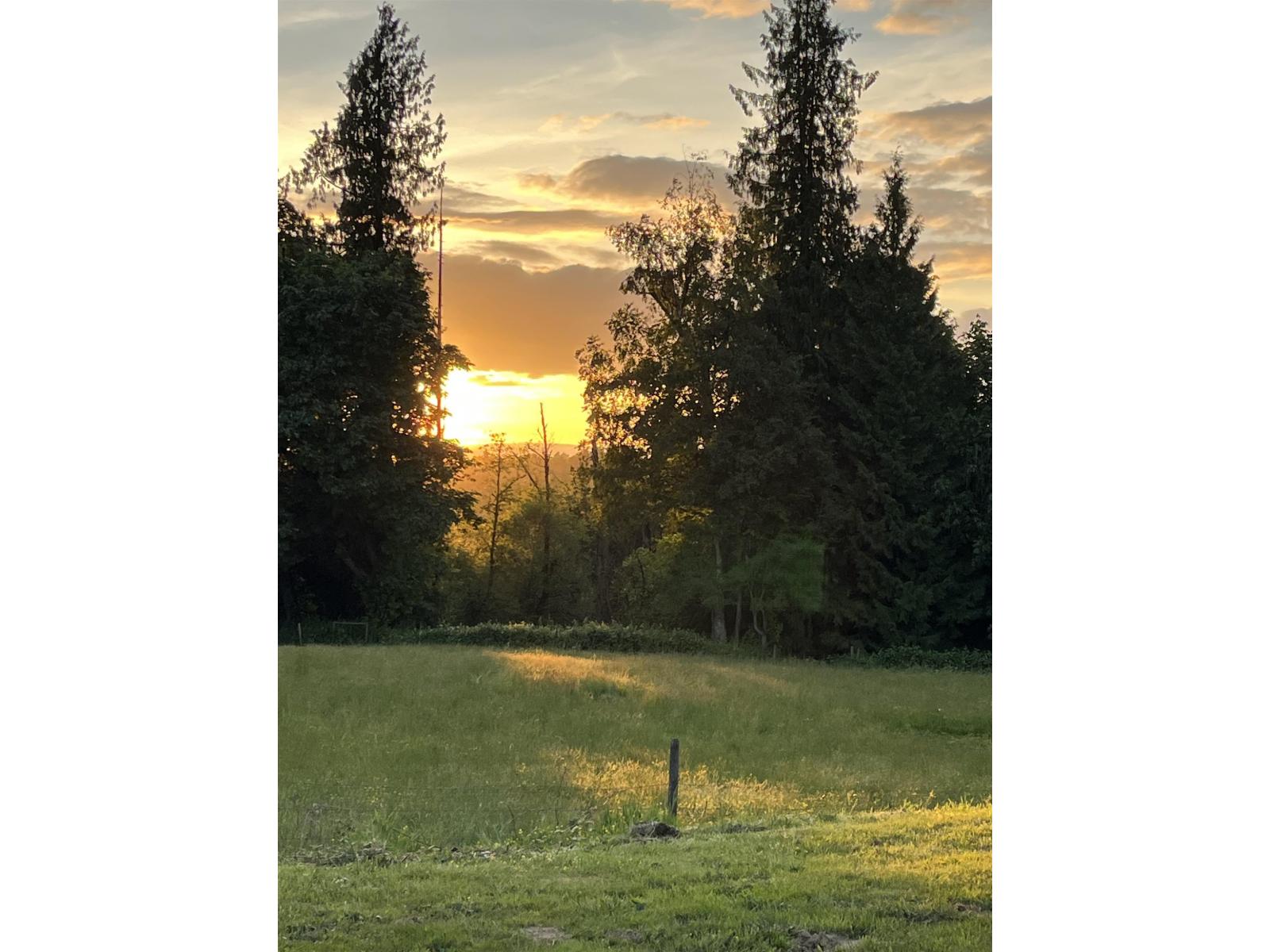 4393 Townline Road, Abbotsford, British Columbia  V4X 1Y7 - Photo 3 - R3124578
