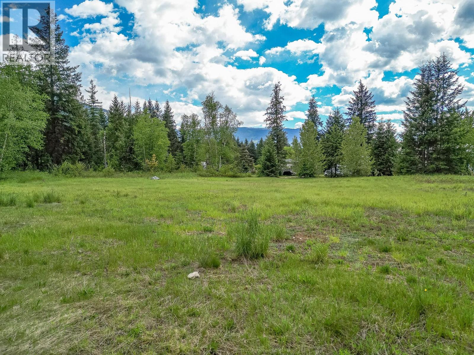 Lot 1 Malakwa Road, Malakwa, British Columbia  V0E 2J0 - Photo 21 - 10388214