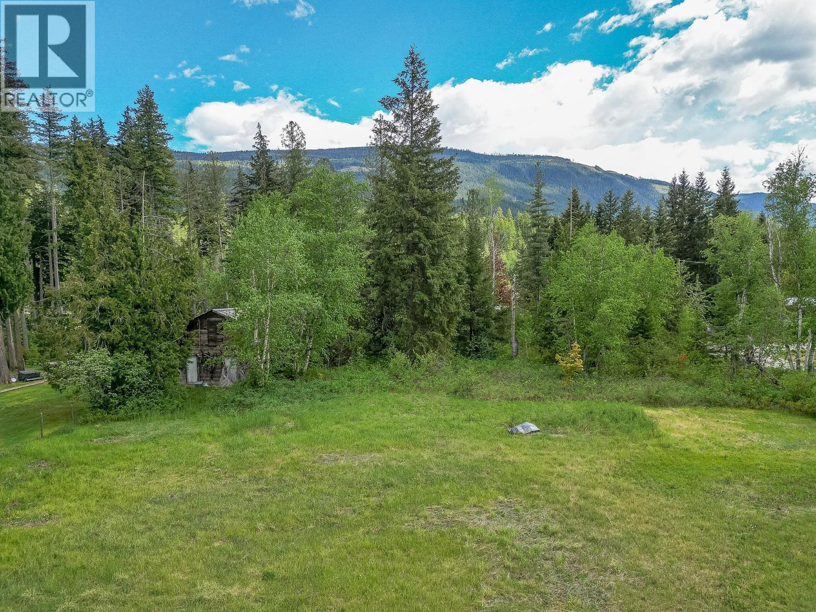 Lot 1 Malakwa Road, Malakwa, British Columbia  V0E 2J0 - Photo 20 - 10388214