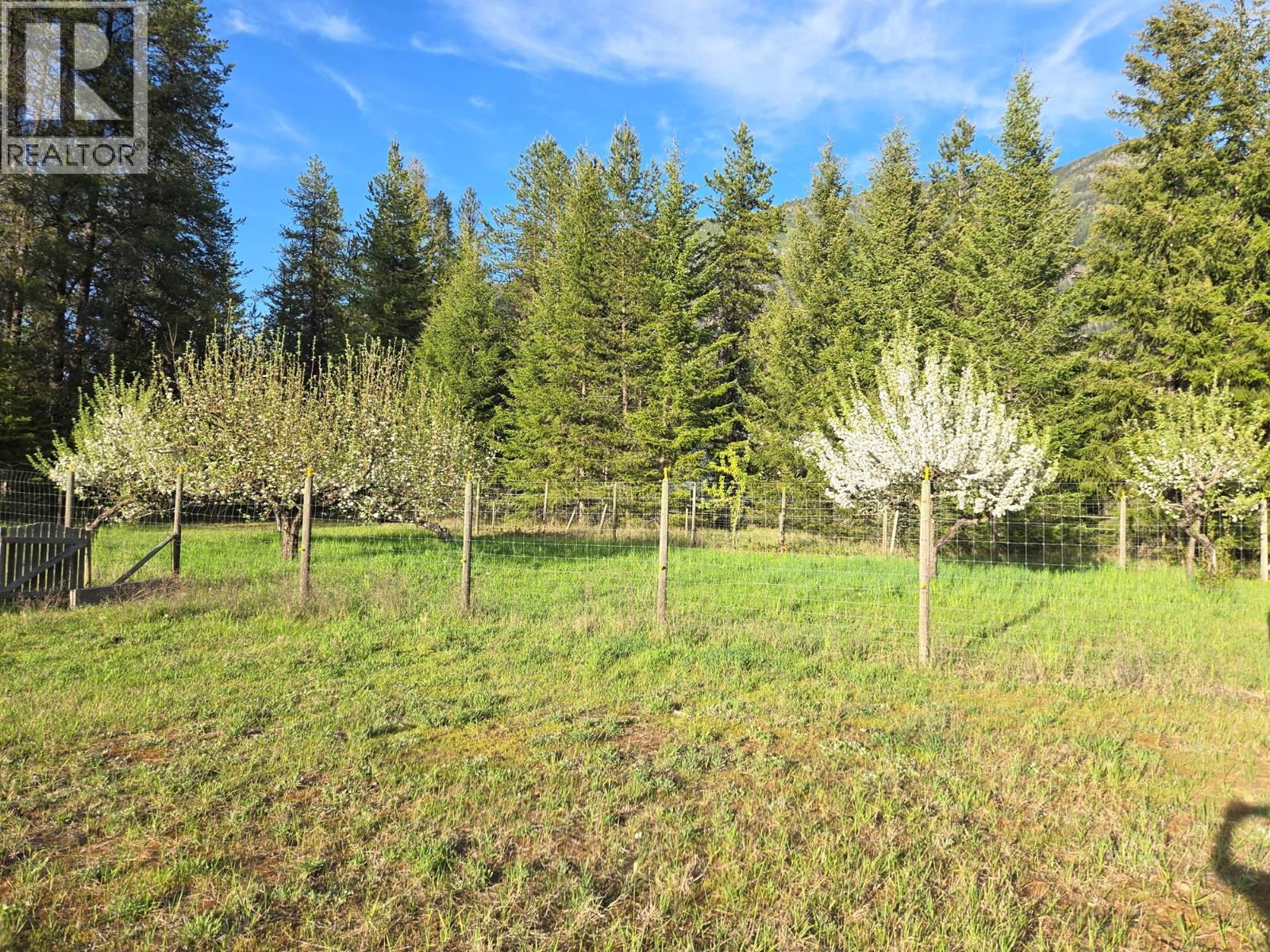3918 Passmore Upper Road, Passmore, British Columbia  V0G 2J0 - Photo 93 - 10373029