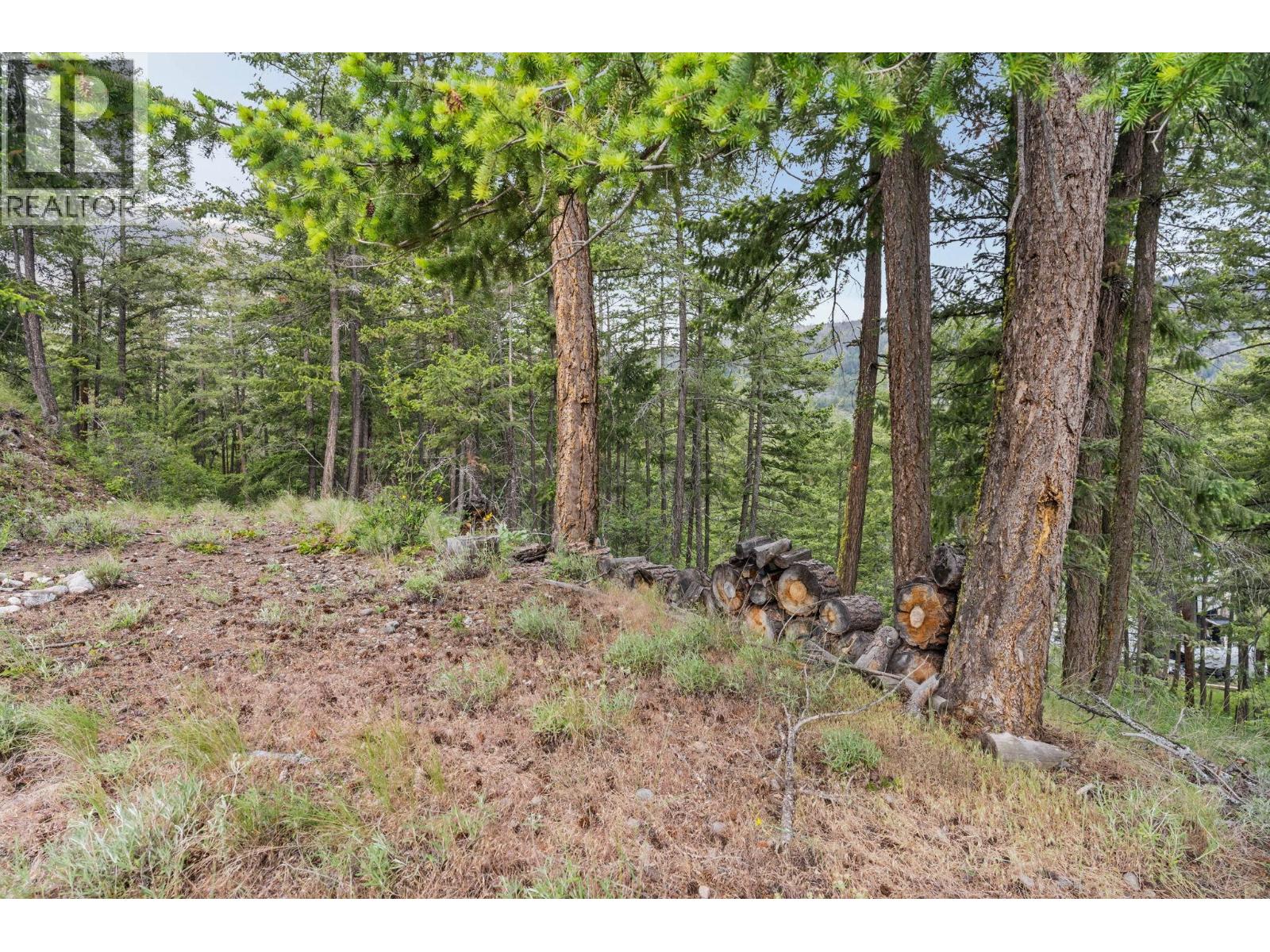 7801 Alpine Road, Fintry, British Columbia  V1Z 3V4 - Photo 5 - 10388555