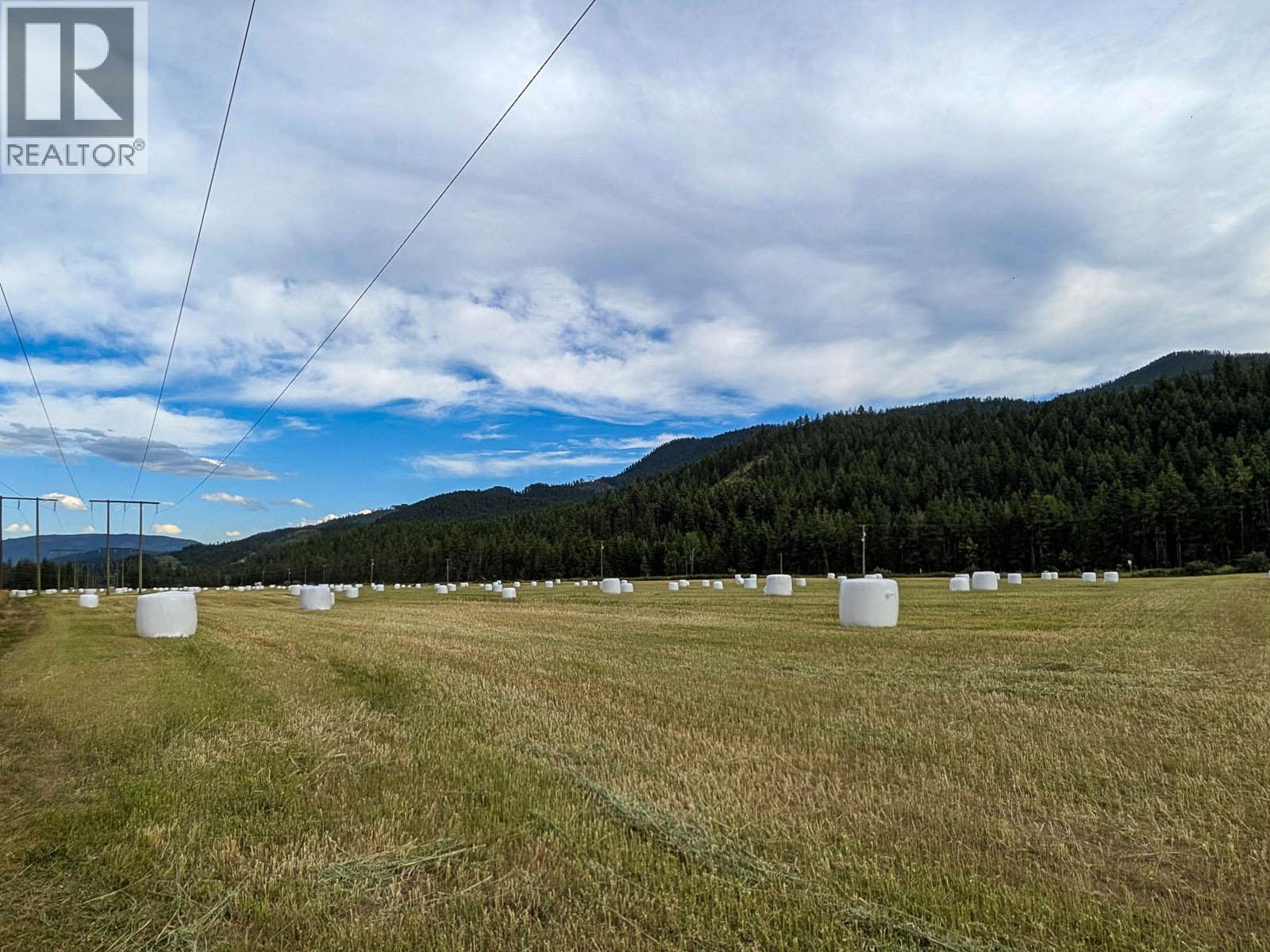 1519 Highway 6 Highway, Cherryville, British Columbia  V0E 2G1 - Photo 74 - 10371130