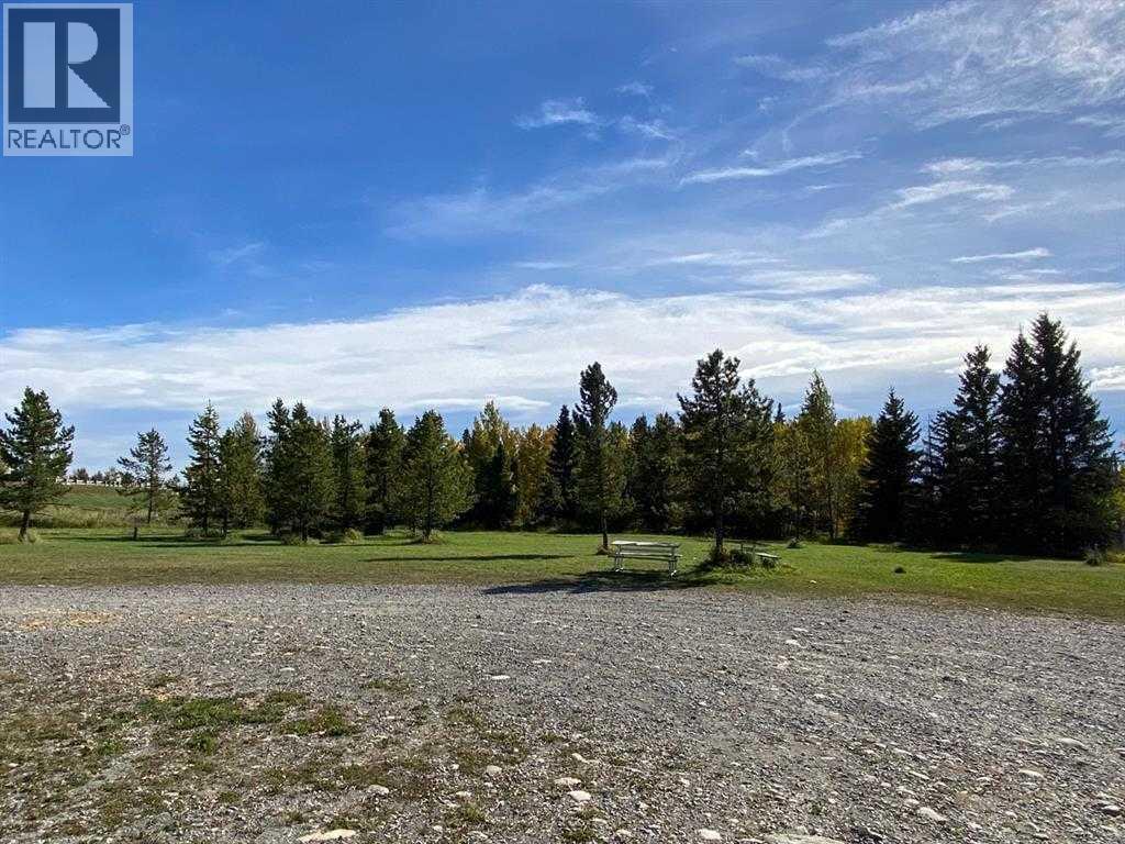 4324 45 Street, Rocky Mountain House, Alberta  T4T 1C8 - Photo 4 - A2313894