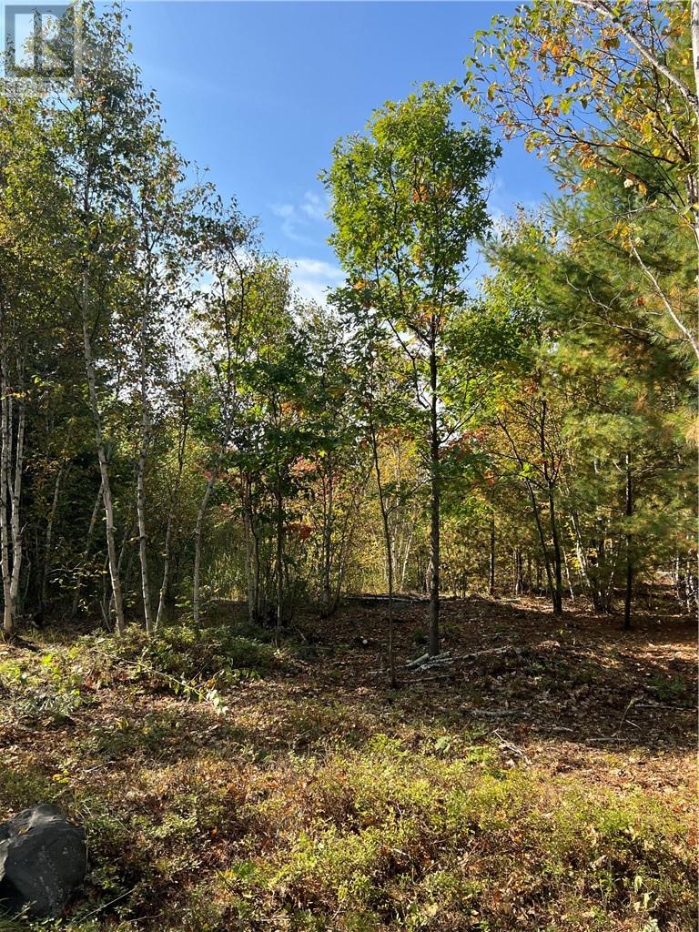 Lot 0 Middle Lake Road, Greater Sudbury, Ontario  P3E 4M9 - Photo 6 - 2127967