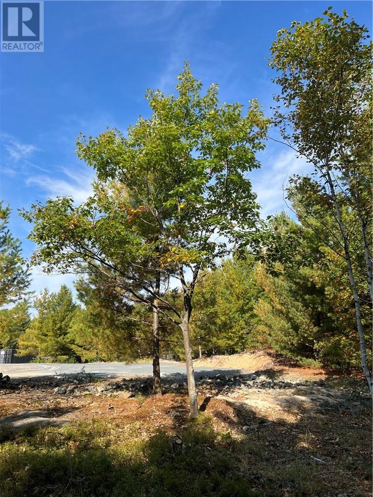 Lot 0 Middle Lake Road, Greater Sudbury, Ontario  P3E 4M9 - Photo 7 - 2127967