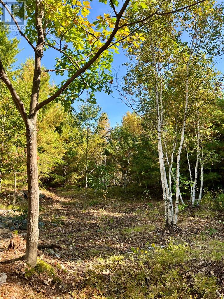 Lot 0 Middle Lake Road, Greater Sudbury, Ontario  P3E 4M9 - Photo 8 - 2127967