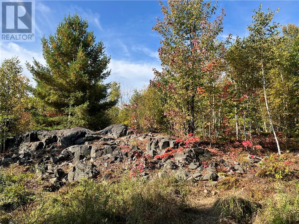 Lot 0 Middle Lake Road, Greater Sudbury, Ontario  P3E 4M9 - Photo 9 - 2127967