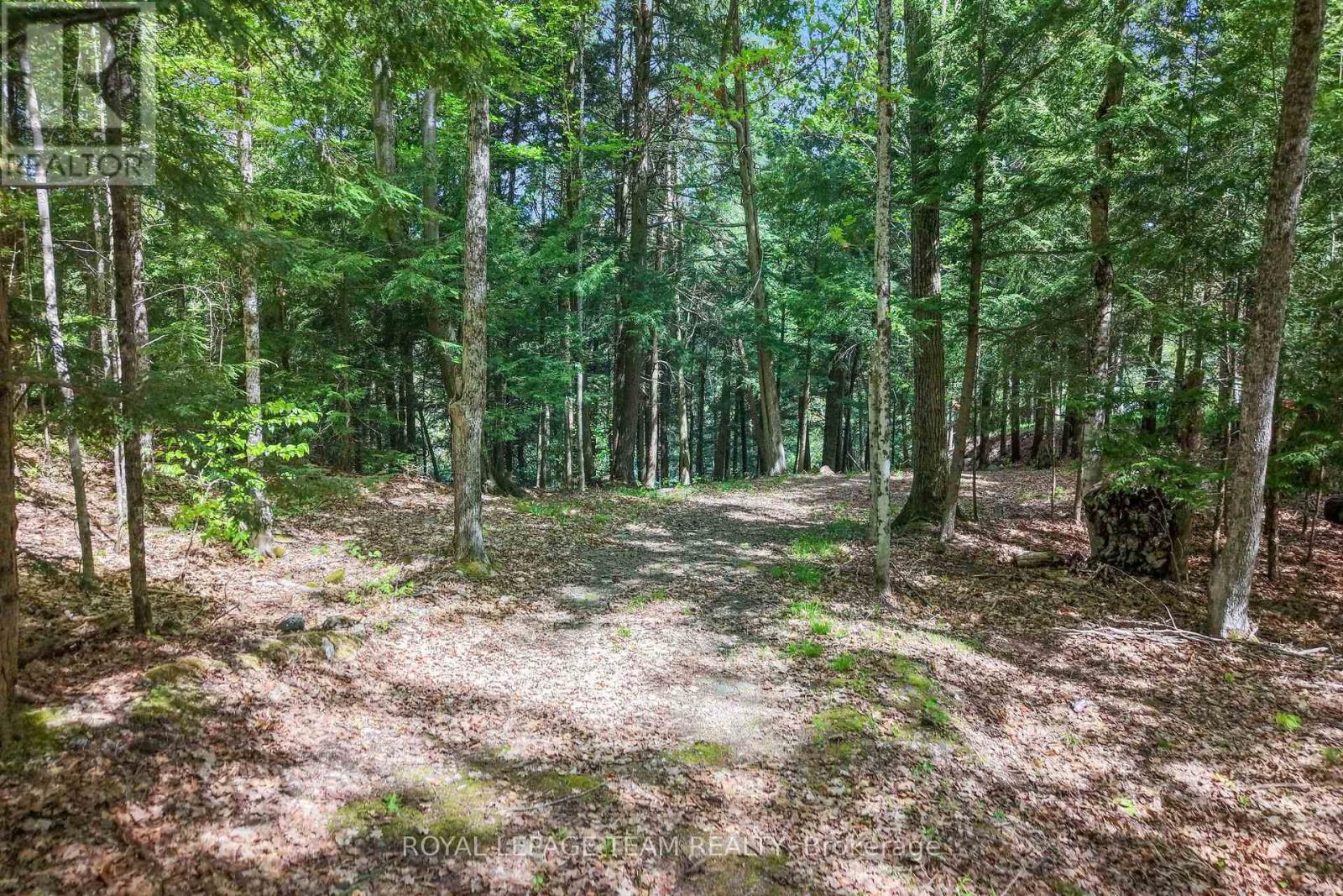 102-B Mcvicar Lane, Mcnab/braeside, Ontario  K7S 3Z5 - Photo 11 - X12821886
