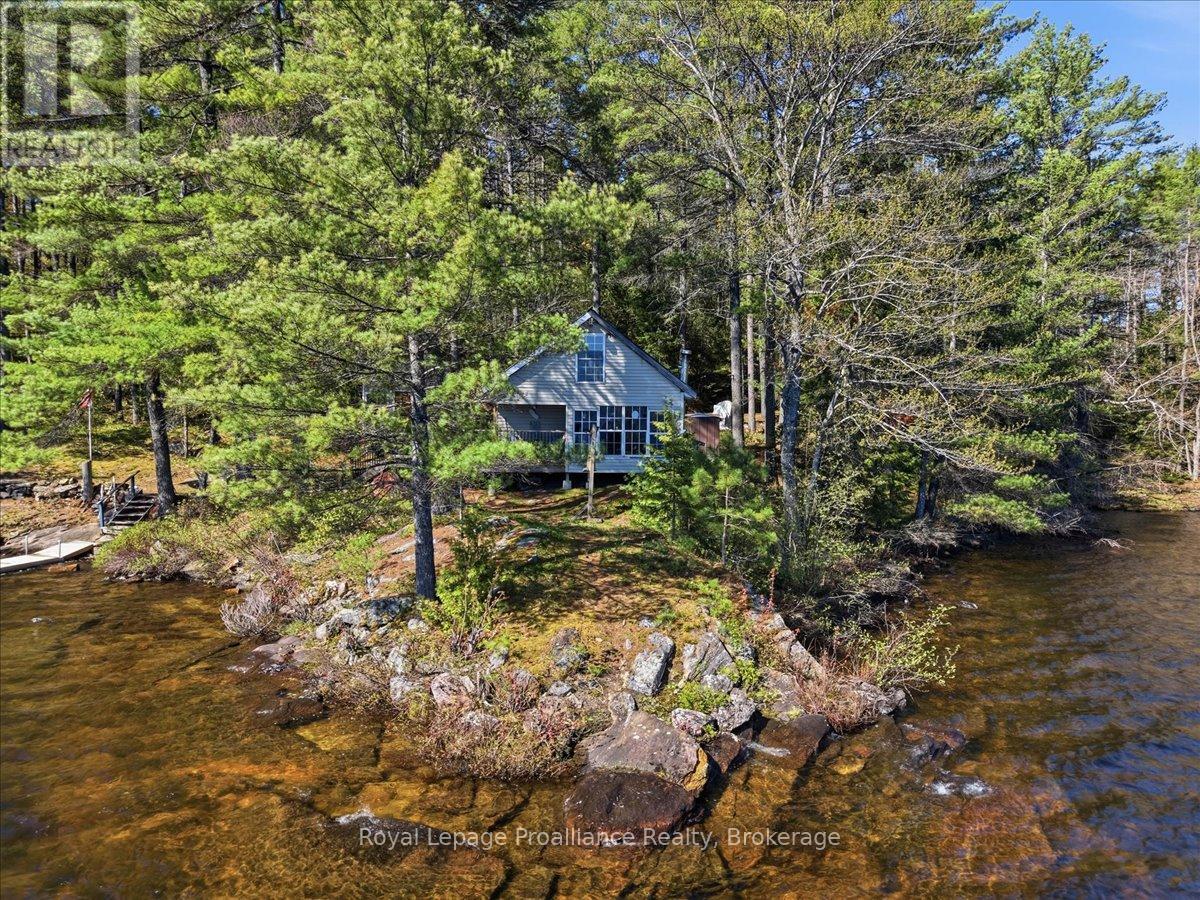 4217 Buckshot Lake Road, Addington Highlands, Ontario  K0H 2M0 - Photo 3 - X13163790