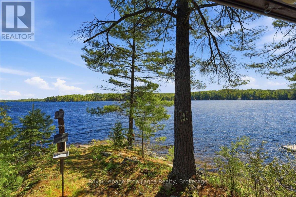 4217 Buckshot Lake Road, Addington Highlands, Ontario  K0H 2M0 - Photo 31 - X13163790