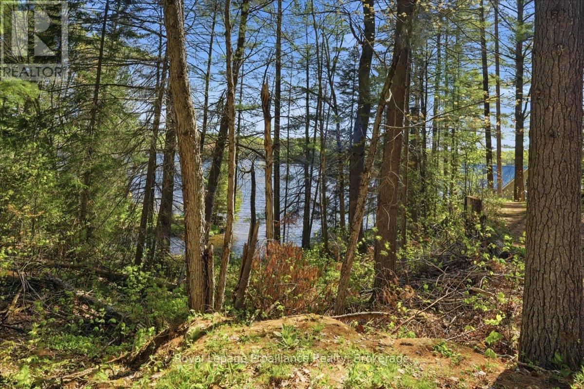4217 Buckshot Lake Road, Addington Highlands, Ontario  K0H 2M0 - Photo 32 - X13163790