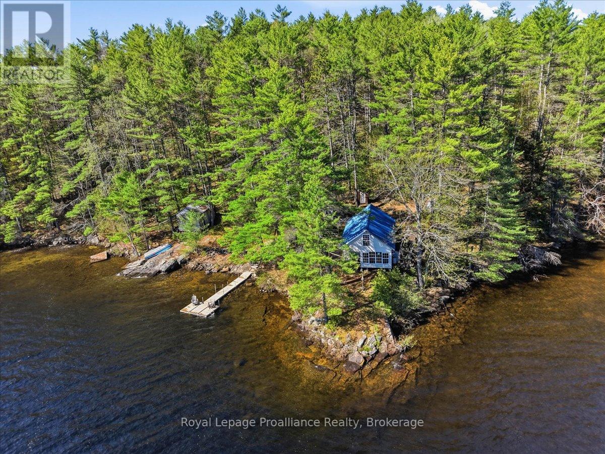 4217 Buckshot Lake Road, Addington Highlands, Ontario  K0H 2M0 - Photo 36 - X13163790
