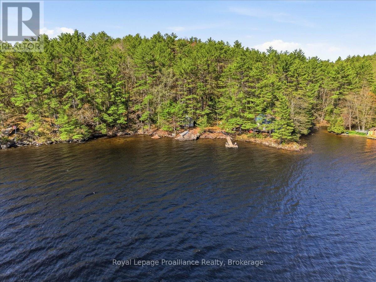 4217 Buckshot Lake Road, Addington Highlands, Ontario  K0H 2M0 - Photo 37 - X13163790