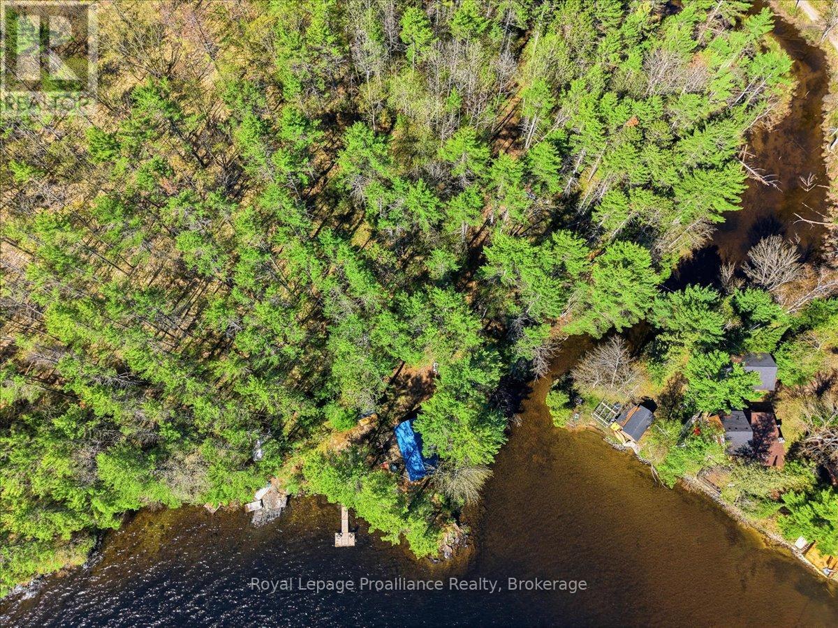 4217 Buckshot Lake Road, Addington Highlands, Ontario  K0H 2M0 - Photo 39 - X13163790