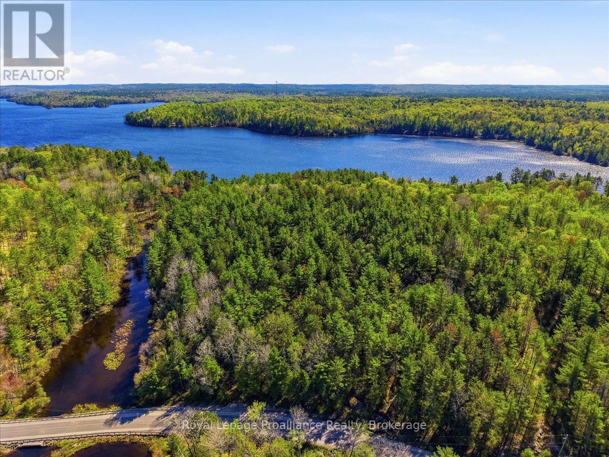 4217 Buckshot Lake Road, Addington Highlands, Ontario  K0H 2M0 - Photo 40 - X13163790