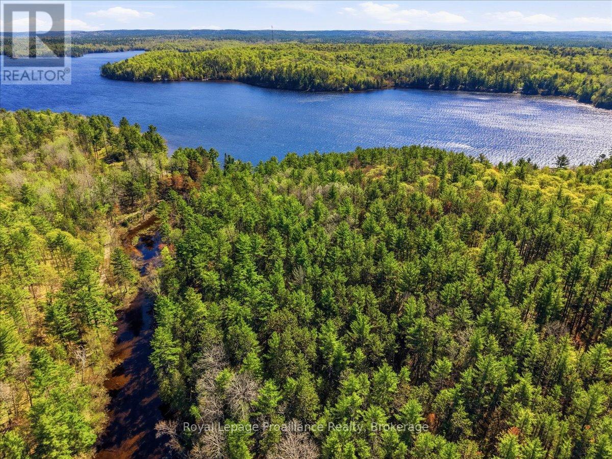 4217 Buckshot Lake Road, Addington Highlands, Ontario  K0H 2M0 - Photo 41 - X13163790