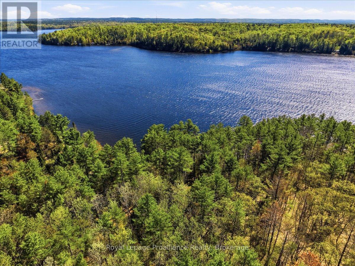 4217 Buckshot Lake Road, Addington Highlands, Ontario  K0H 2M0 - Photo 42 - X13163790