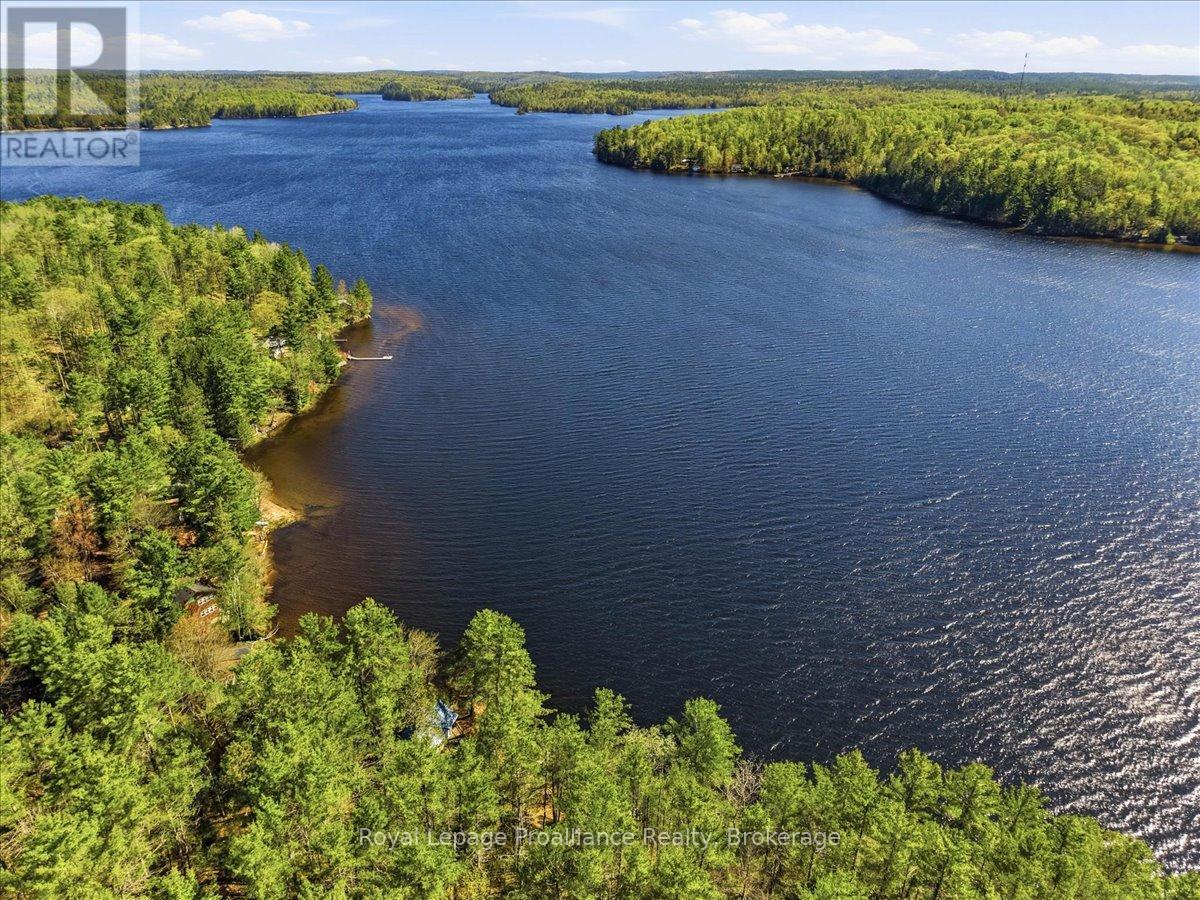 4217 Buckshot Lake Road, Addington Highlands, Ontario  K0H 2M0 - Photo 43 - X13163790