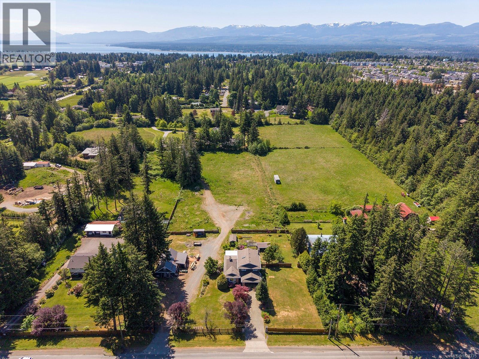 picture 51