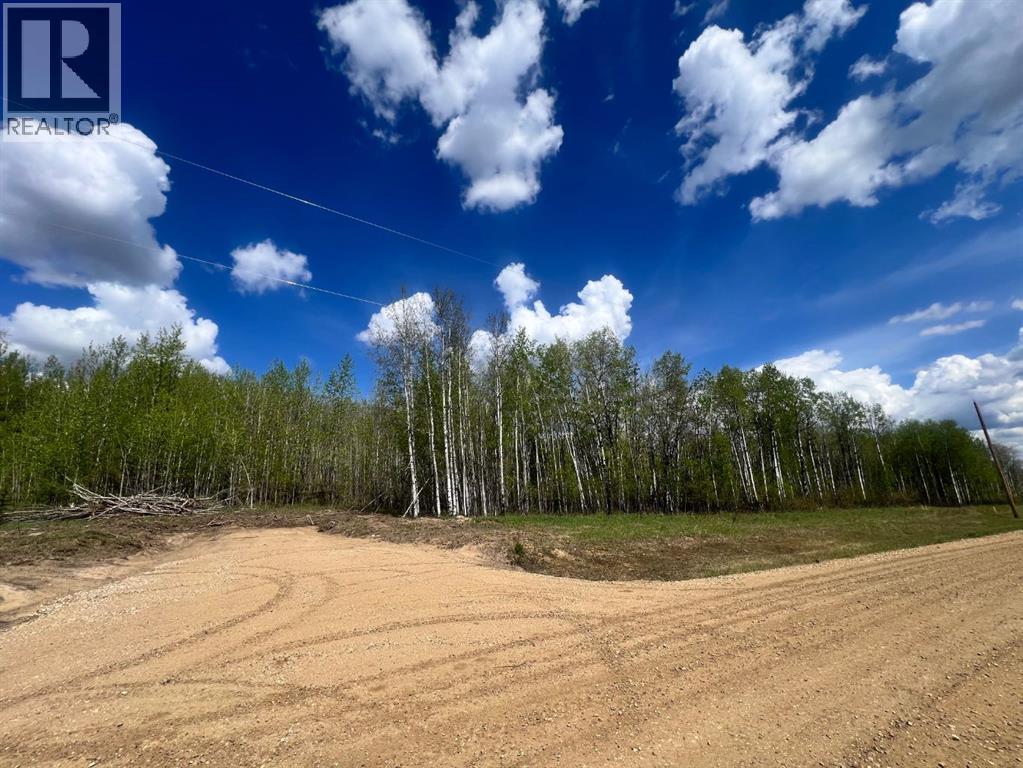 2620445;1; 1, Athabasca, Alberta  T9S 2B1 - Photo 3 - A2312057