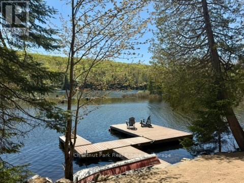 1027 Select Trail, Dysart Et Al (Dysart), Ontario  K0M 1S0 - Photo 37 - X13163842
