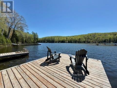 1027 Select Trail, Dysart Et Al (Dysart), Ontario  K0M 1S0 - Photo 40 - X13163842