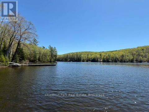 1027 Select Trail, Dysart Et Al (Dysart), Ontario  K0M 1S0 - Photo 43 - X13163842