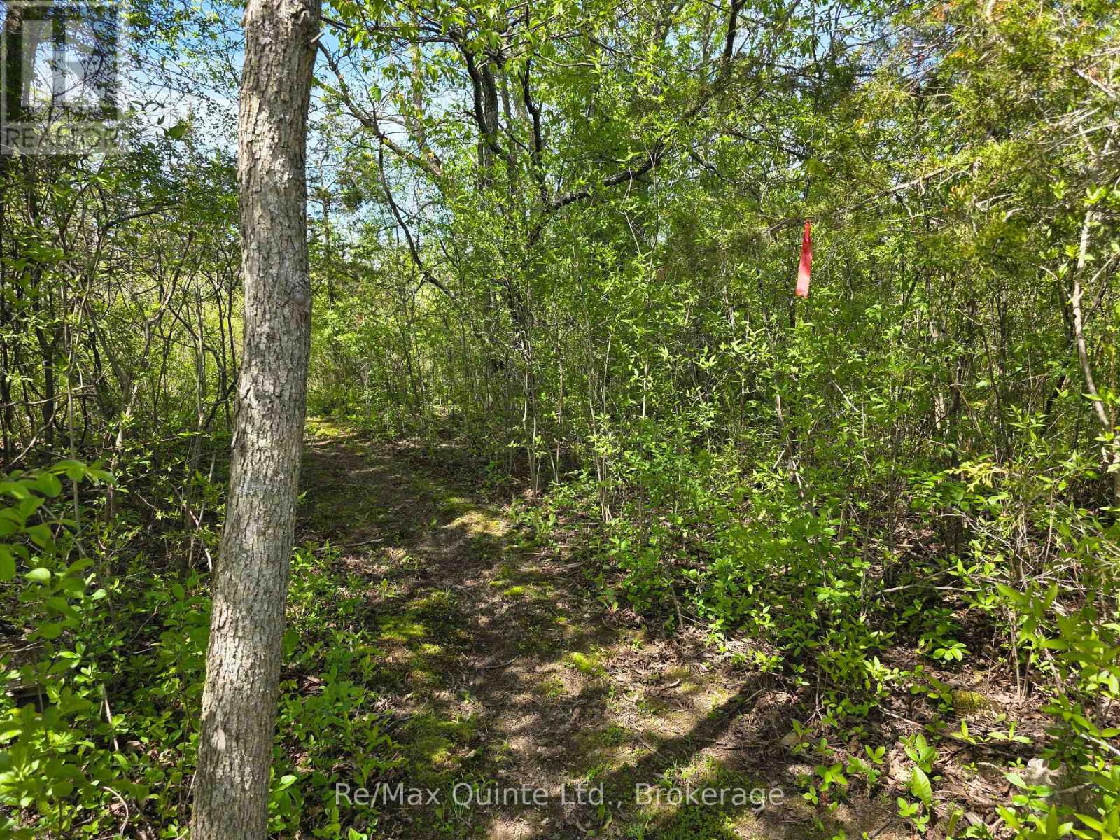 Across From 3904 Cty Rd 49, Prince Edward County, Ontario  K0K 2T0 - Photo 26 - X13163084