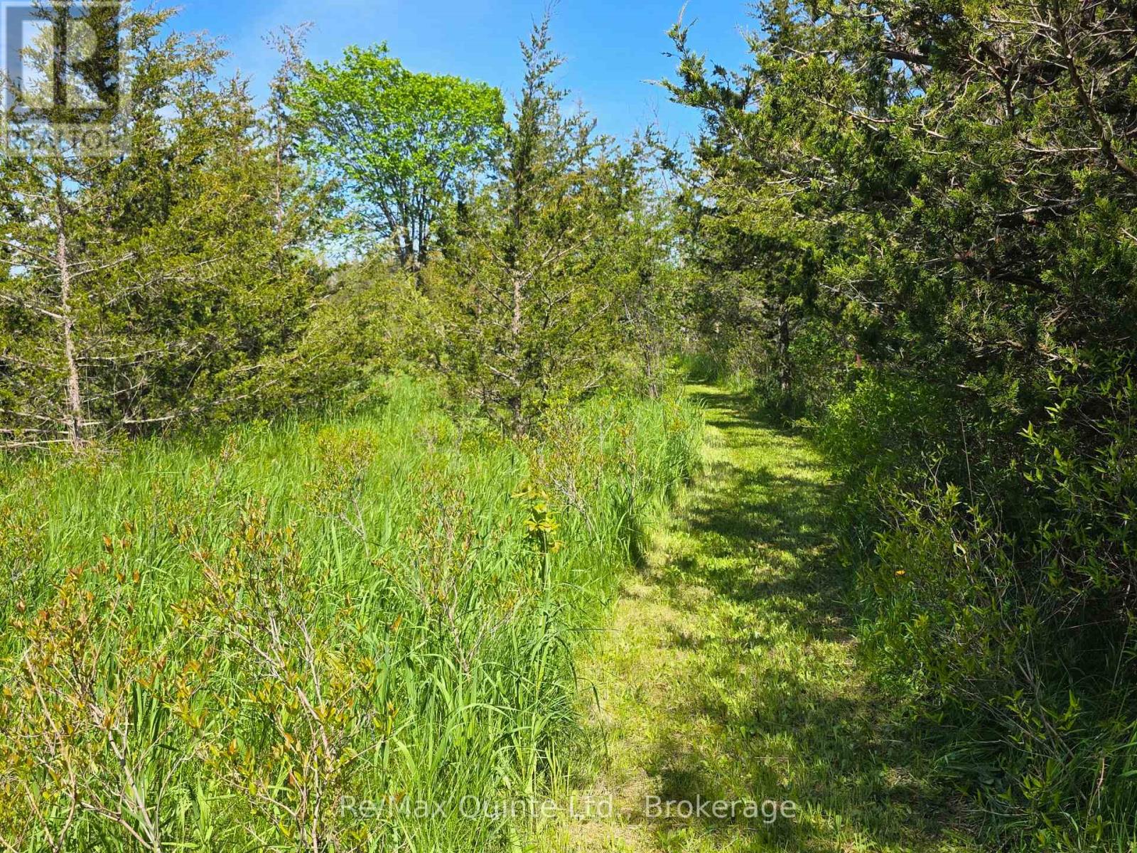 Across From 3904 Cty Rd 49, Prince Edward County, Ontario  K0K 2T0 - Photo 20 - X13163084