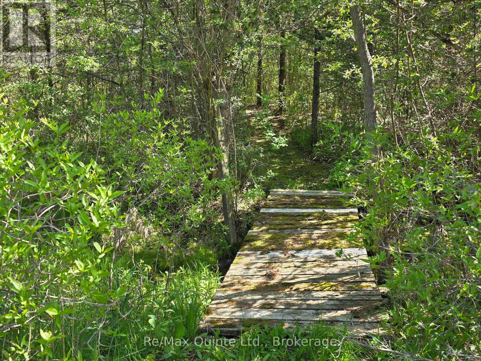 Across From 3904 Cty Rd 49, Prince Edward County, Ontario  K0K 2T0 - Photo 18 - X13163084