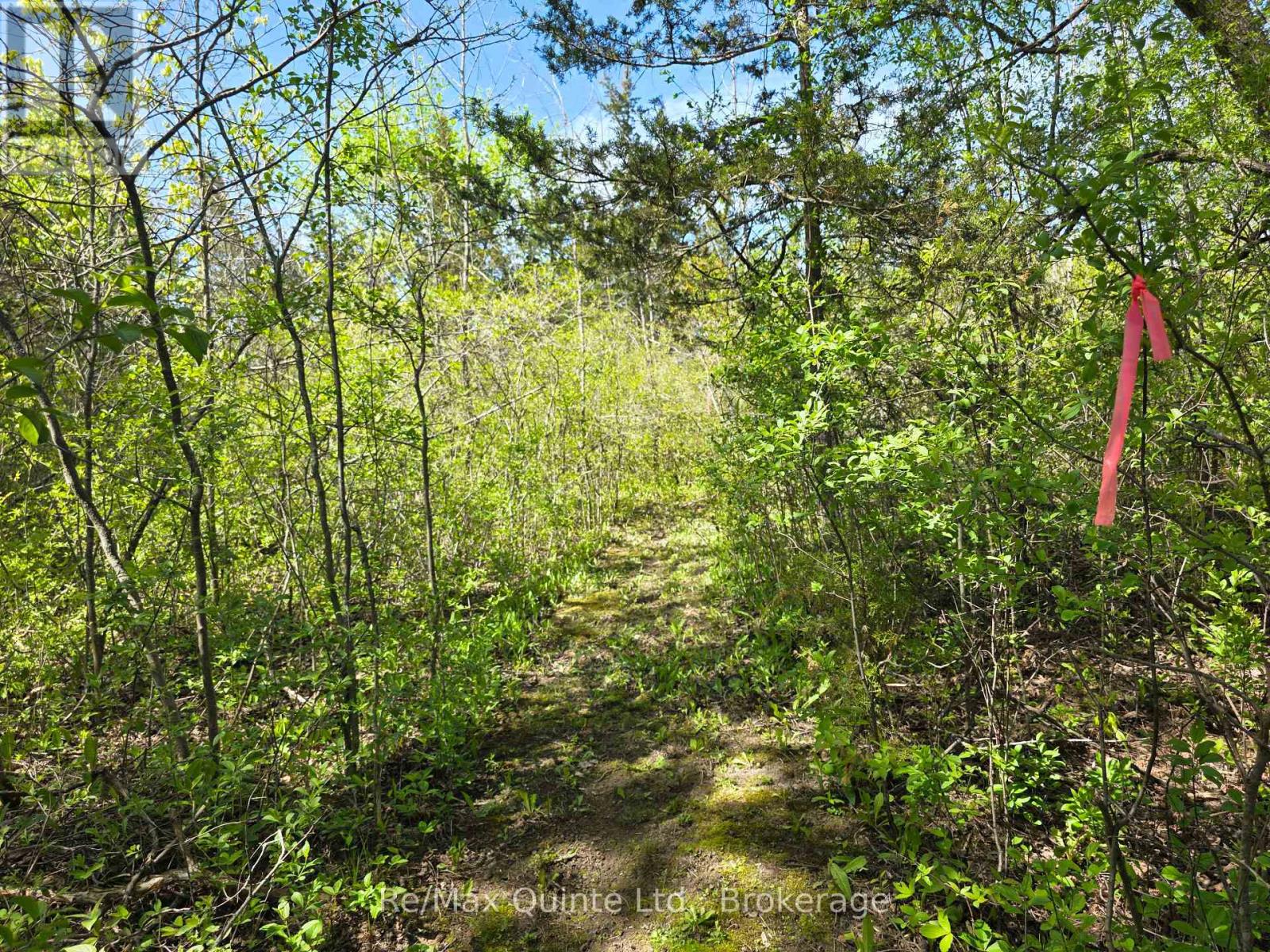 Across From 3904 Cty Rd 49, Prince Edward County, Ontario  K0K 2T0 - Photo 24 - X13163084