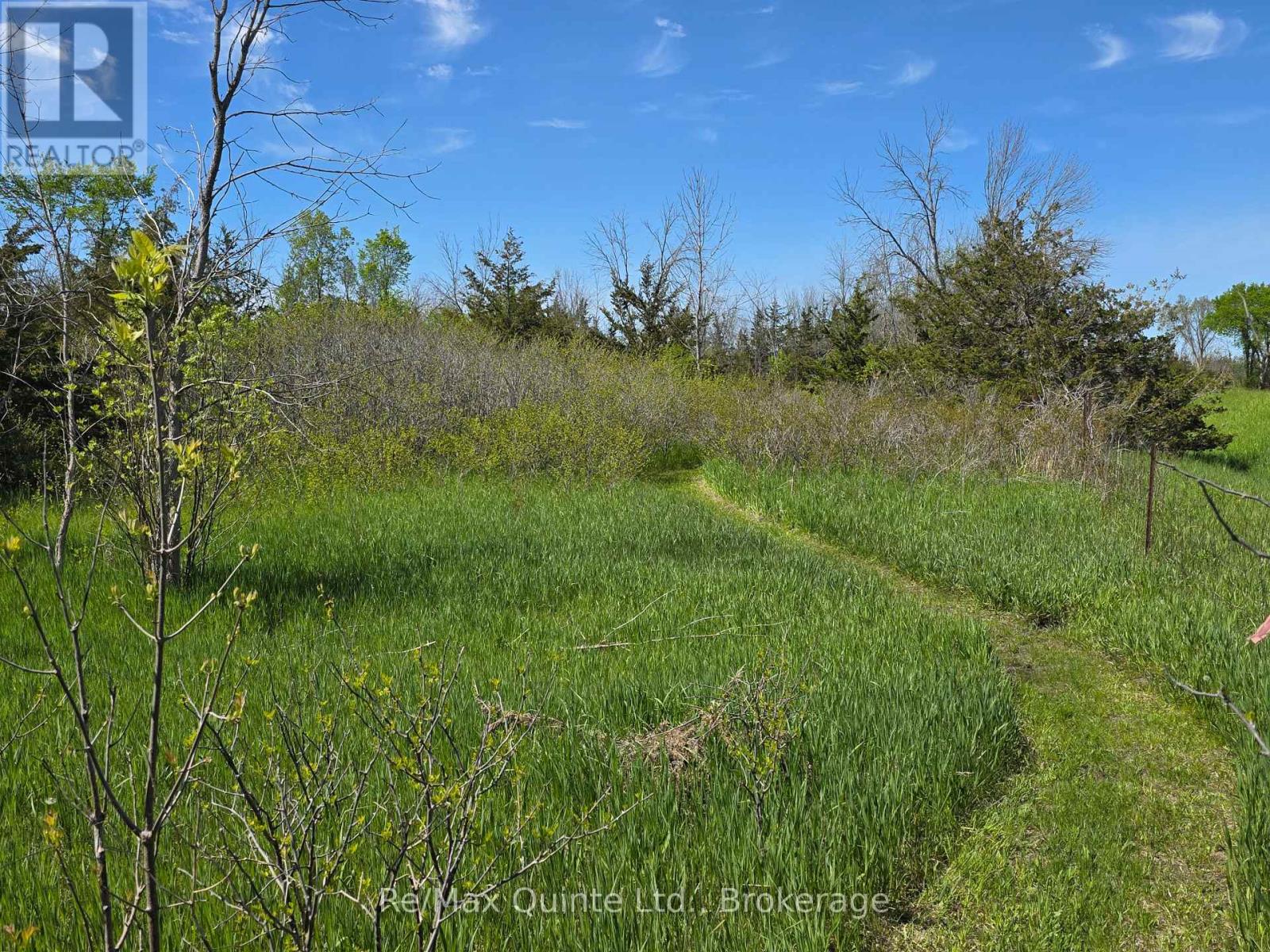 Across From 3904 Cty Rd 49, Prince Edward County, Ontario  K0K 2T0 - Photo 17 - X13163084