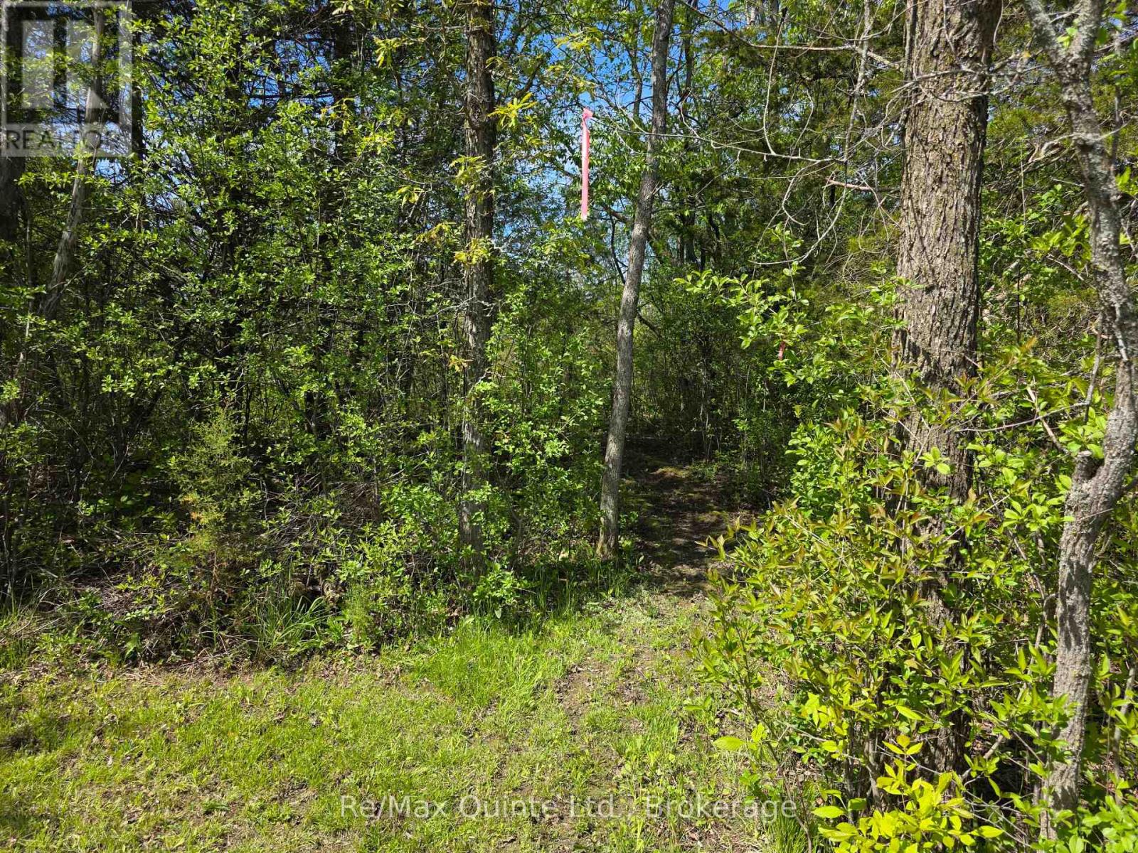 Across From 3904 Cty Rd 49, Prince Edward County, Ontario  K0K 2T0 - Photo 27 - X13163084