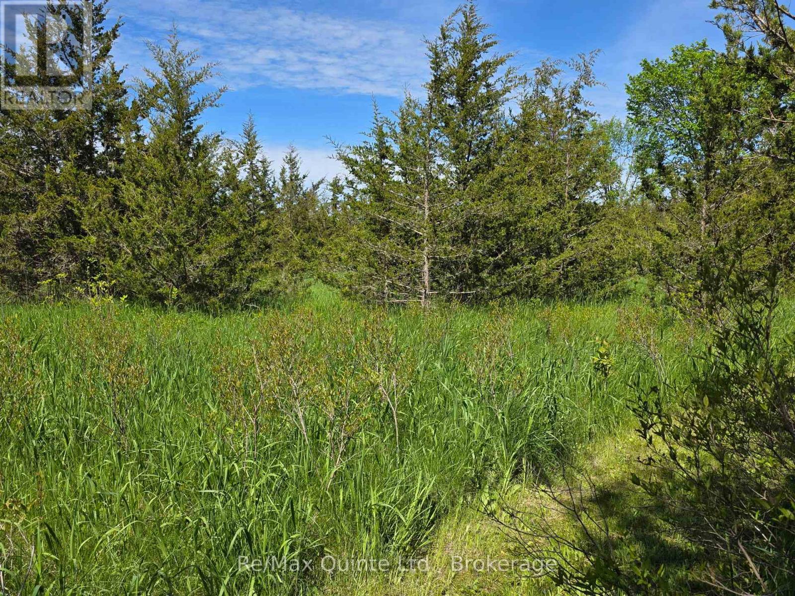 Across From 3904 Cty Rd 49, Prince Edward County, Ontario  K0K 2T0 - Photo 21 - X13163084