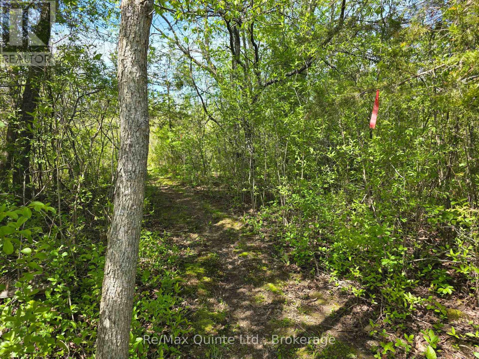 Across From 3904 Cty Rd 49, Prince Edward County, Ontario  K0K 2T0 - Photo 25 - X13163084