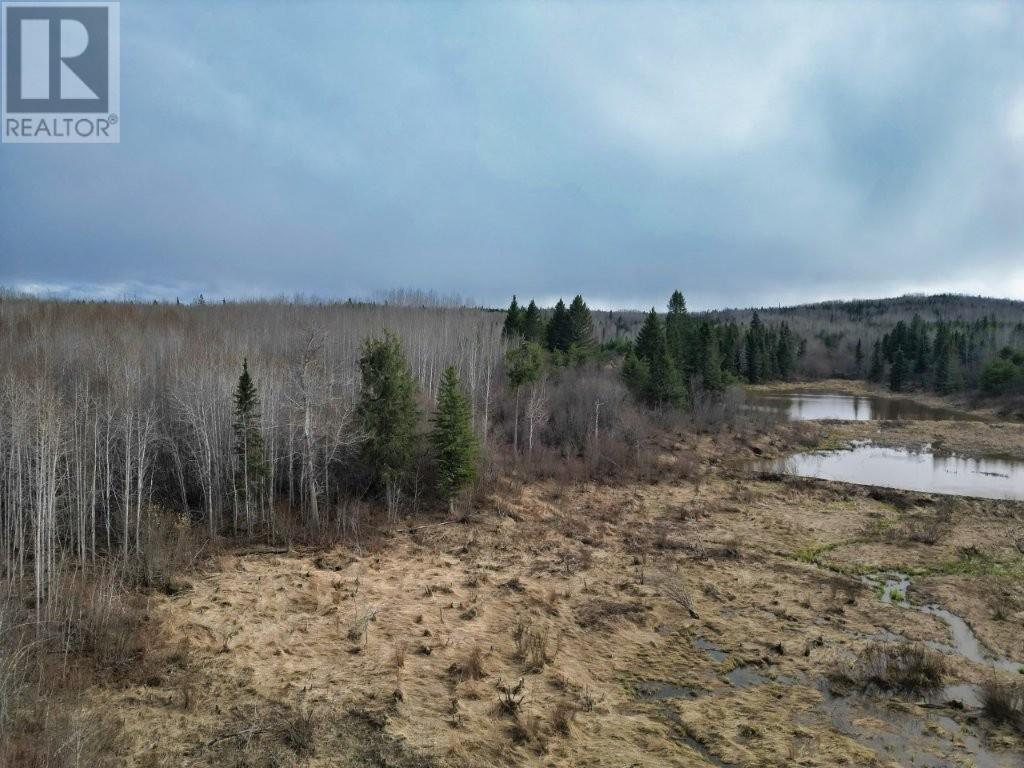 N 1/2 L 10 Centre Road, Kaministiquia, Ontario  P0T 1X0 - Photo 18 - TB2600649
