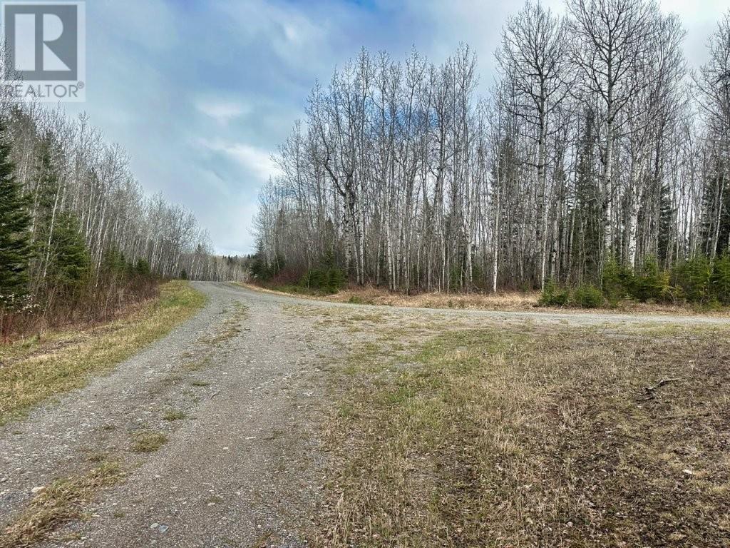 N 1/2 L 10 Centre Road, Kaministiquia, Ontario  P0T 1X0 - Photo 20 - TB2600649