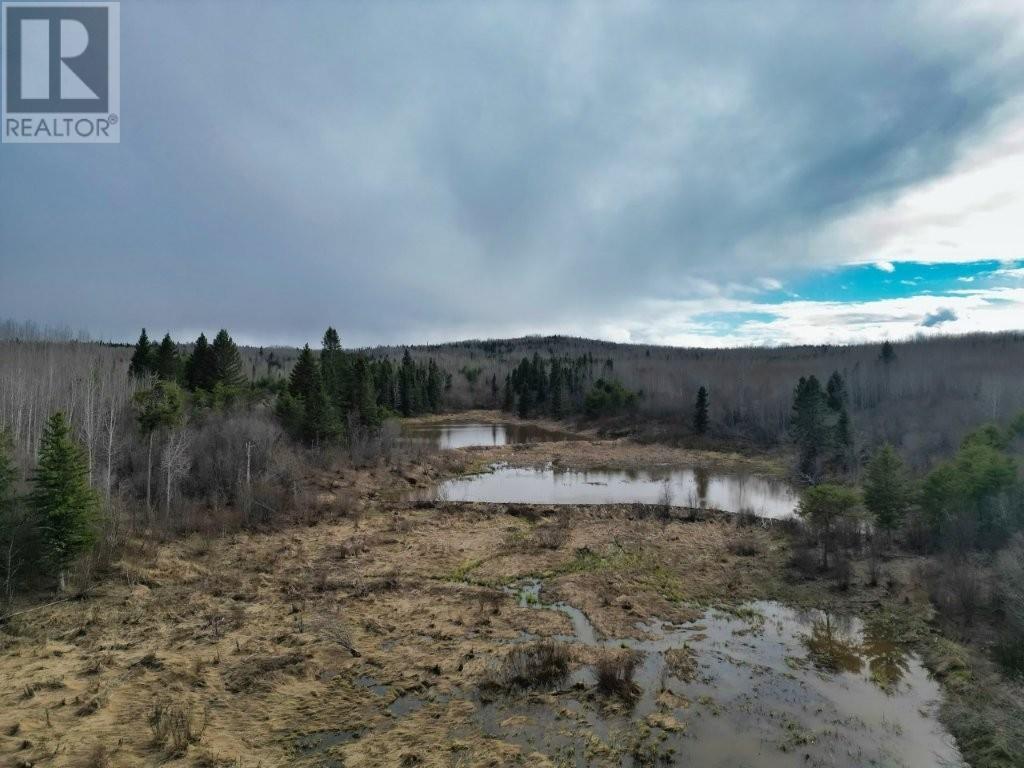 N 1/2 L 10 Centre Road, Kaministiquia, Ontario  P0T 1X0 - Photo 19 - TB2600649