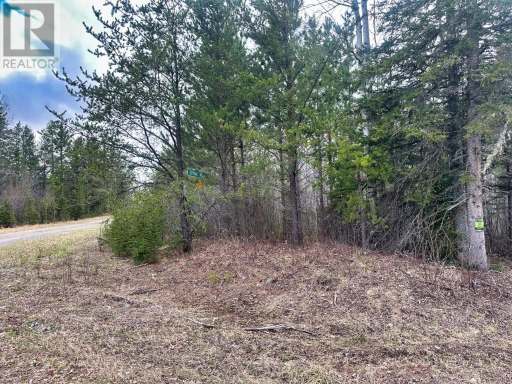 N 1/2 L 10 Centre Road, Kaministiquia, Ontario  P0T 1X0 - Photo 24 - TB2600649