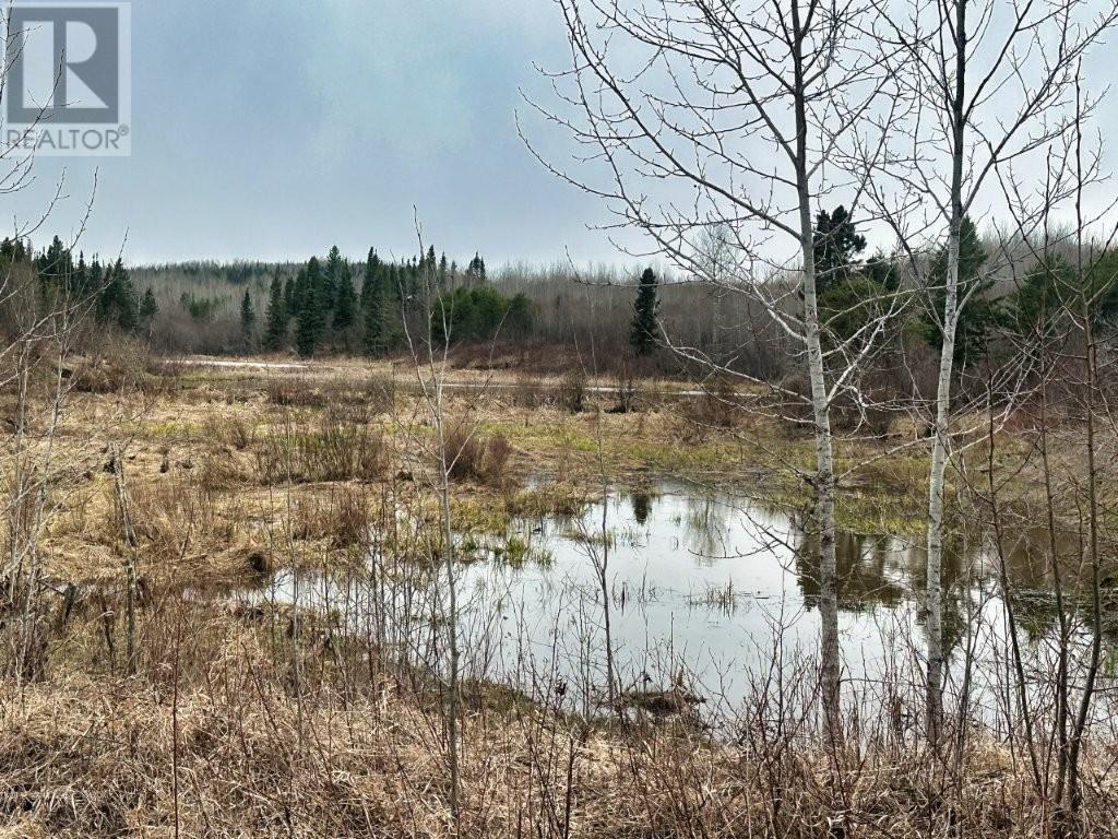 N 1/2 L 10 Centre Road, Kaministiquia, Ontario  P0T 1X0 - Photo 28 - TB2600649