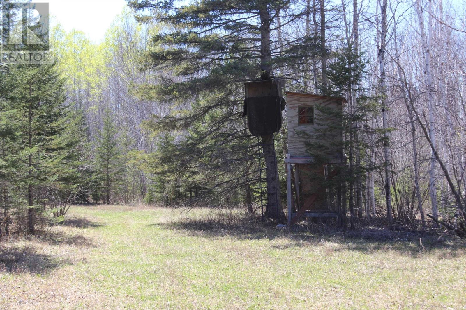 Pcl 19740 Johnson Rd, Unorganized, Pinewood, Ontario  P0W 1K0 - Photo 29 - TB2601147
