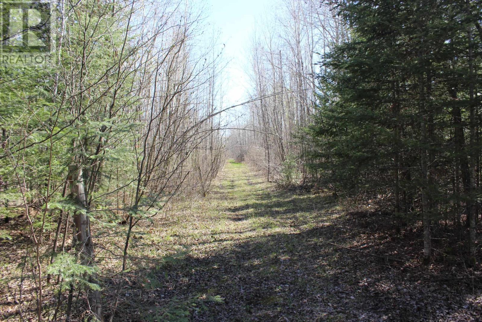 Pcl 19740 Johnson Rd, Unorganized, Pinewood, Ontario  P0W 1K0 - Photo 35 - TB2601147