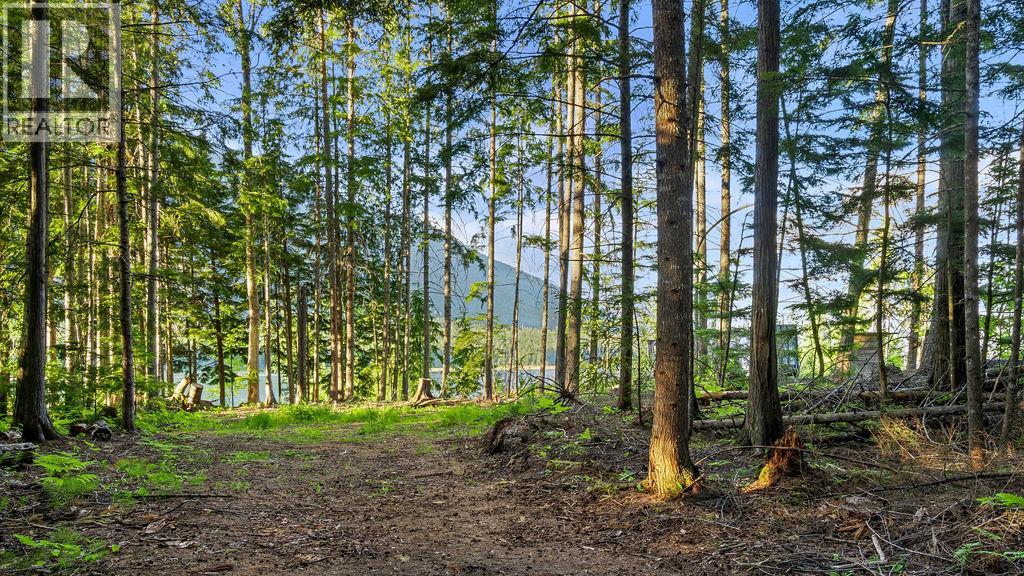 Rock Island Road Lot# 18, Arrow Park, British Columbia  V0G 1R1 - Photo 10 - 10388510