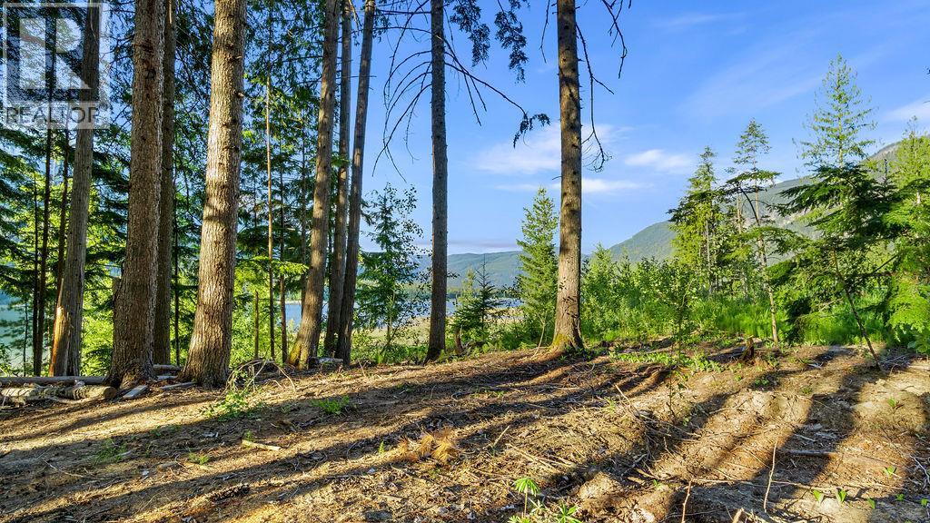 Rock Island Road Lot# 18, Arrow Park, British Columbia  V0G 1R1 - Photo 11 - 10388510