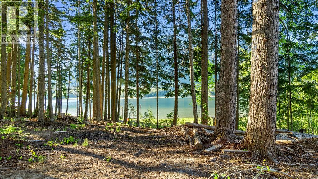 Rock Island Road Lot# 18, Arrow Park, British Columbia  V0G 1R1 - Photo 12 - 10388510