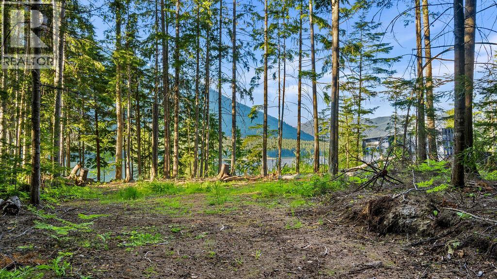 Rock Island Road Lot# 18, Arrow Park, British Columbia  V0G 1R1 - Photo 13 - 10388510