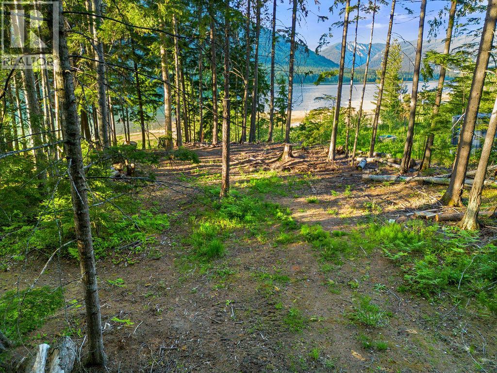 Rock Island Road Lot# 18, Arrow Park, British Columbia  V0G 1R1 - Photo 3 - 10388510